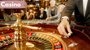 Casino Guide for Beginners